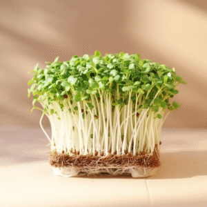 WHITE RADISH (50 gm)